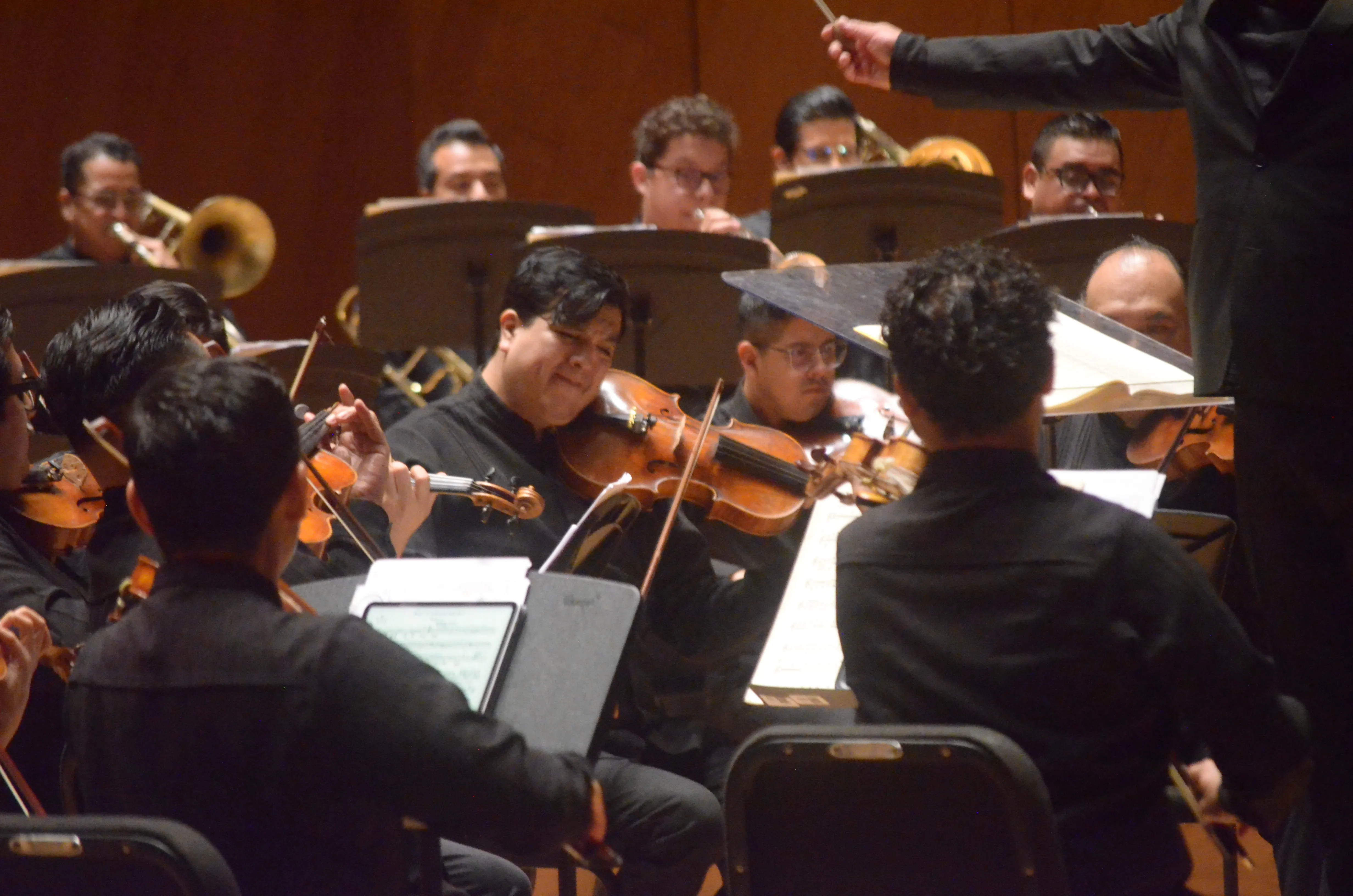 Violines y violas en concierto