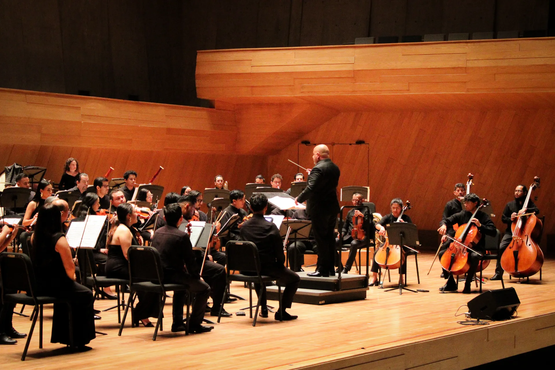 El director y la orquesta en concierto