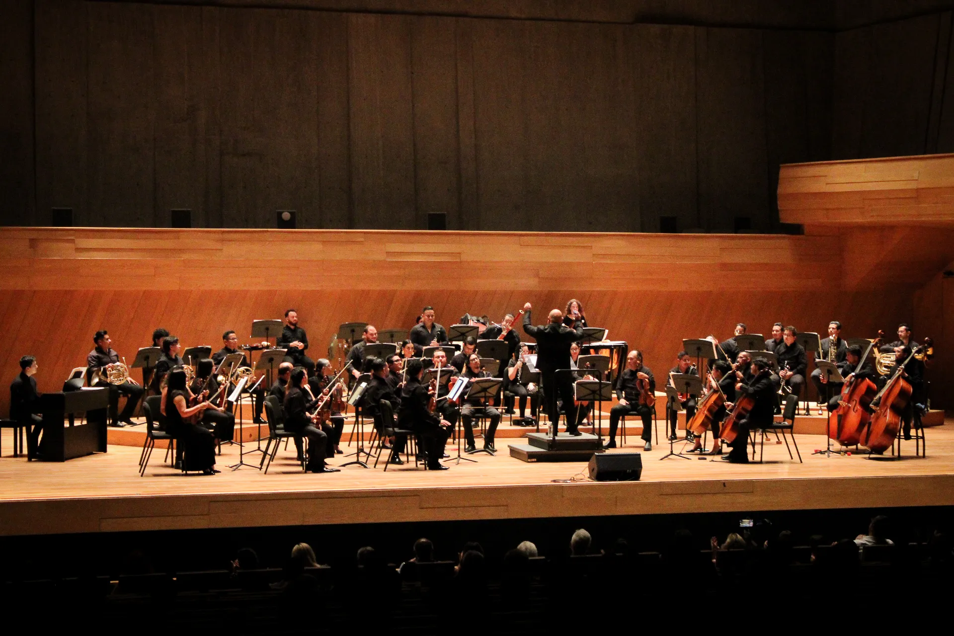 Vista de la Sala de Conciertos Foro Boca durante un concierto