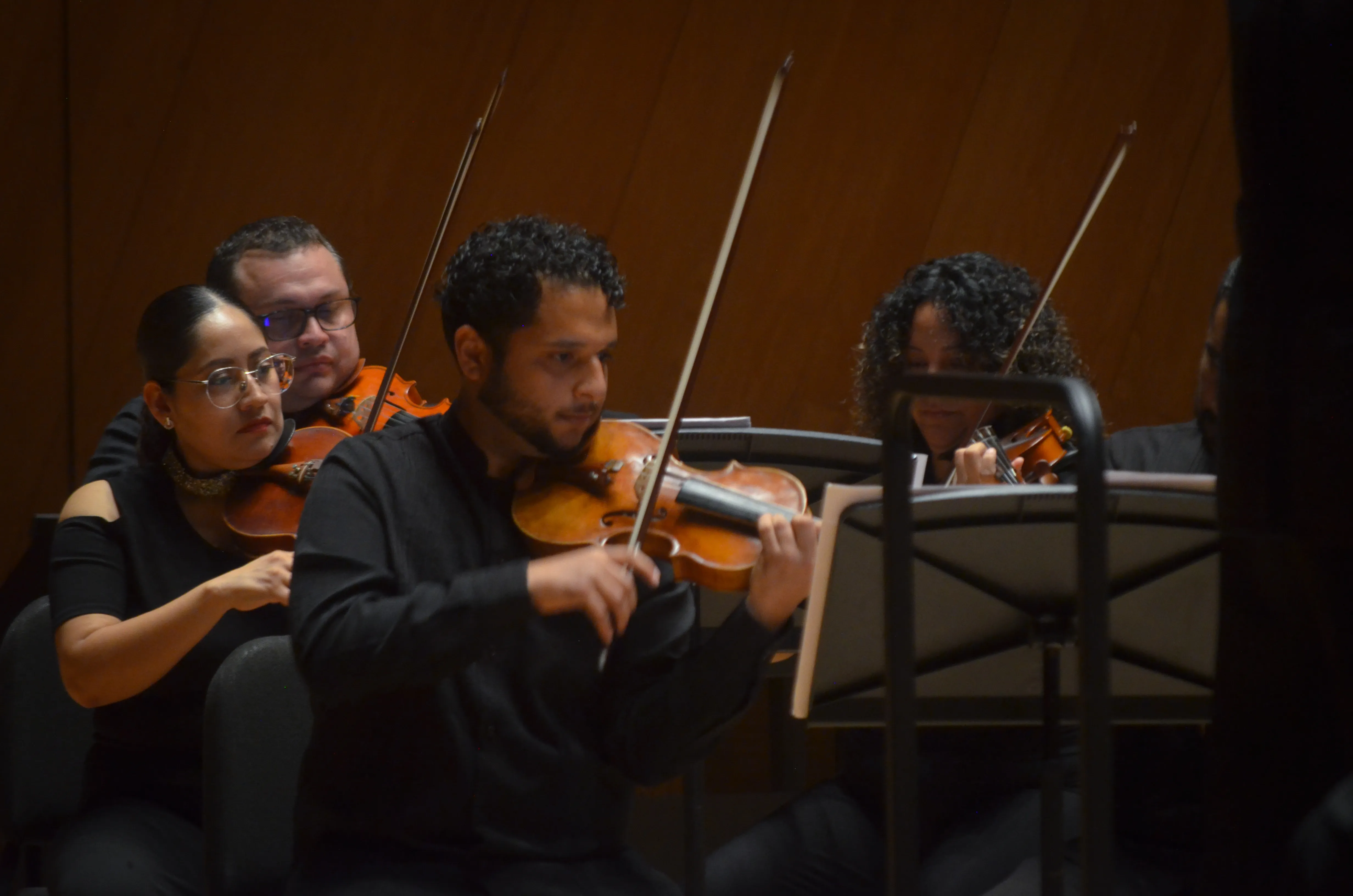 Violines durante un concierto